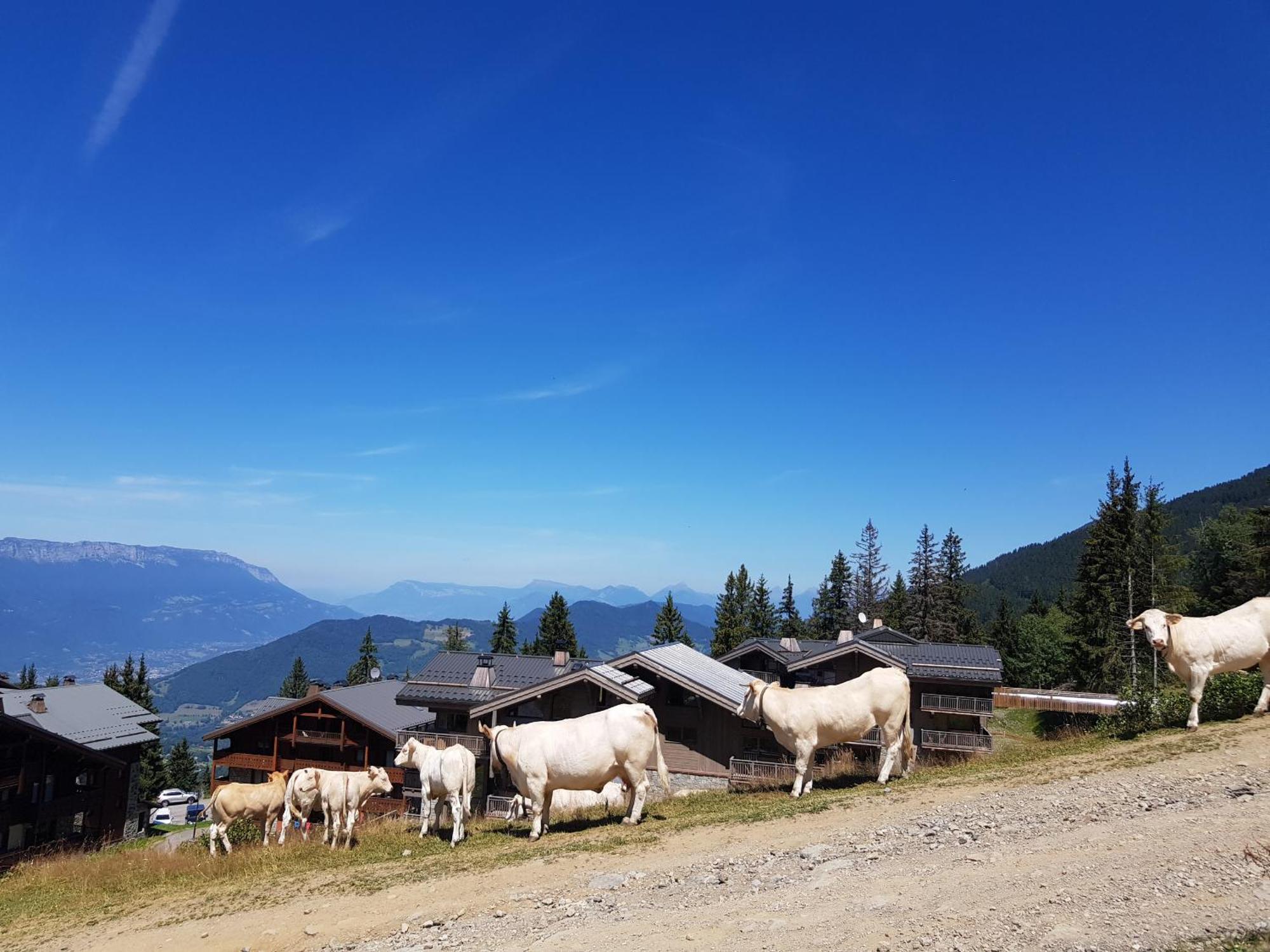 Les 7 Laux Immobilier Chalet E Prapoutel Esterno foto